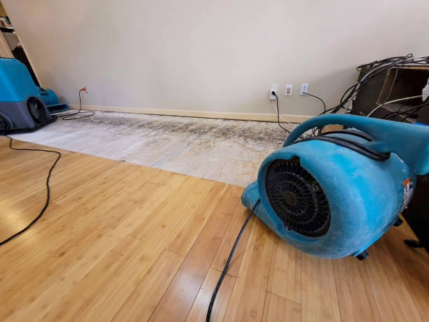 Professional Sewage Cleanup technician working in Maysville, MO